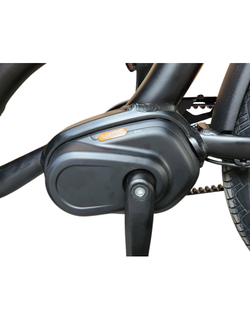 KidsCab Cares 4 bakfiets - Gates Carbon Drive