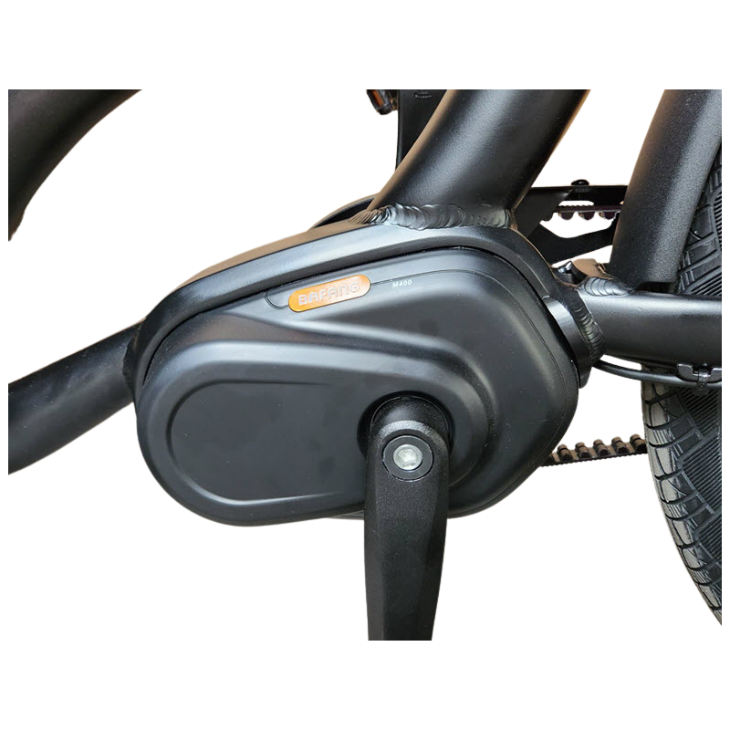 KidsCab Cares 4 bakfiets - Gates Carbon Drive