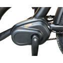 KidsCab Cares 4 bakfiets - Gates Carbon Drive