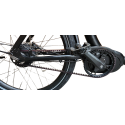 KidsCab Cares 4 bakfiets - Gates Carbon Drive