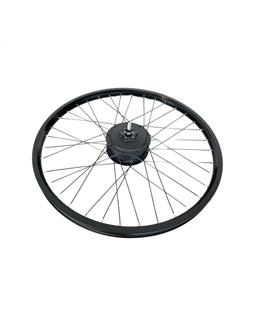Batavus Fier / Raleigh Stride / Winora FUB 26 Zoll Hinterrad Enviolo Cargo schwarz