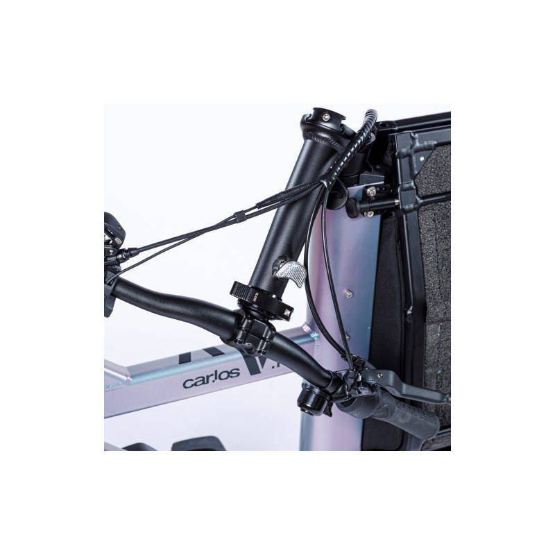 CAR.LOS V1 Basic Kompaktes Lastenfahrrad