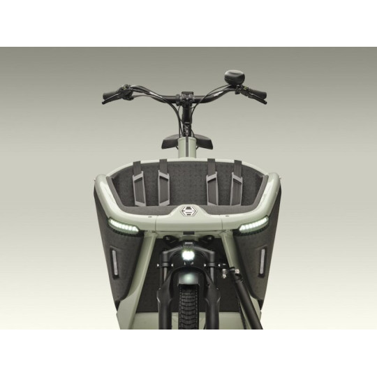Urban Arrow FamilyNext design LED-verlichting