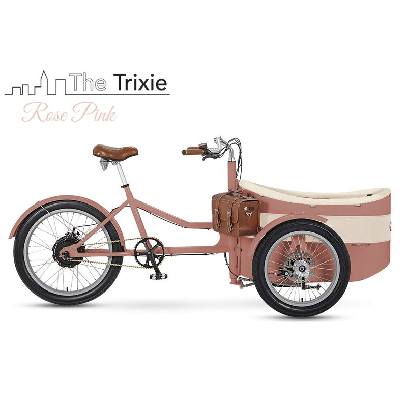 Rayvolt Trixie Retro look cargo bike