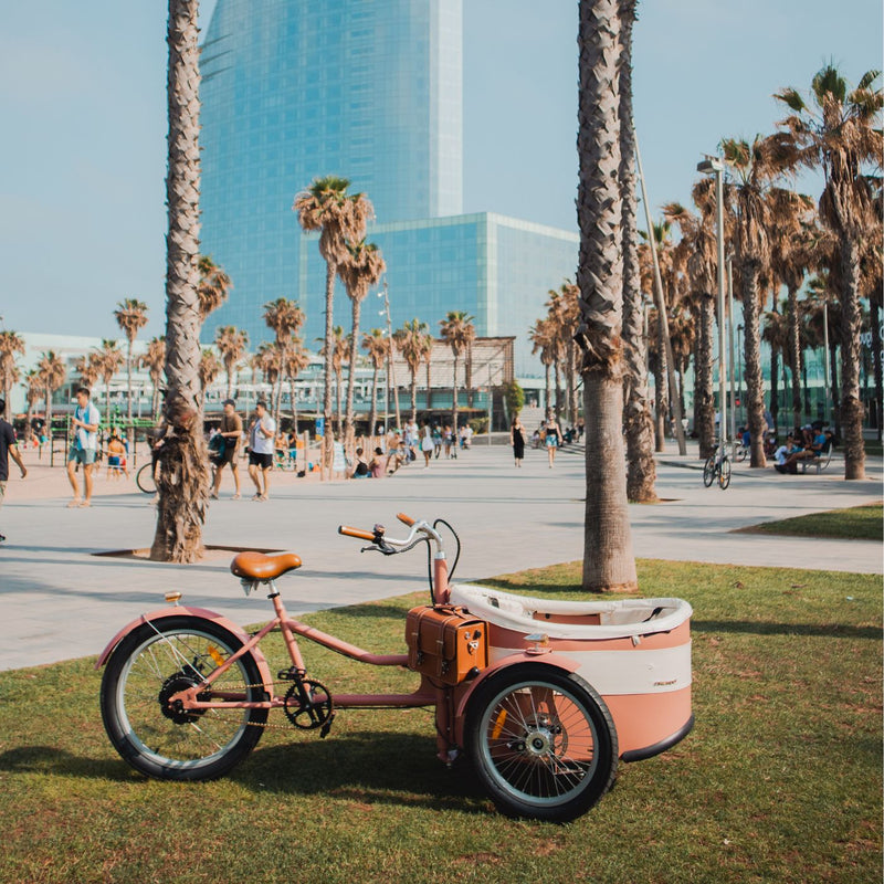 Rayvolt Trixie Retro look bakfiets