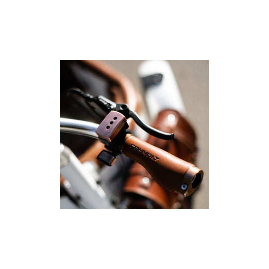 Rayvolt Trixie Retro look cargo bike