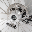 Rayvolt Trixie Retro look cargo bike