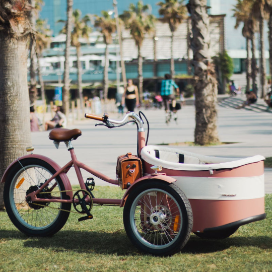 Rayvolt Trixie Retro look bakfiets