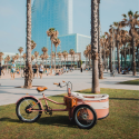Rayvolt Trixie Retro look cargo bike