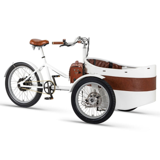 Rayvolt Trixie Retro look cargo bike