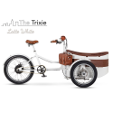 Rayvolt Trixie Retro look cargo bike