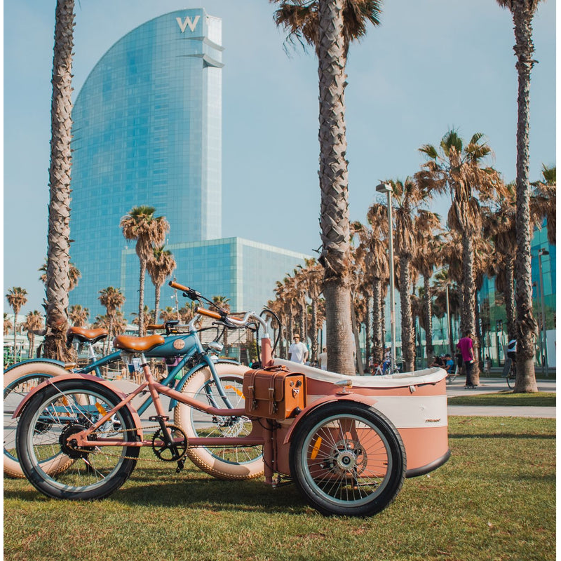 Rayvolt Trixie Retro look bakfiets