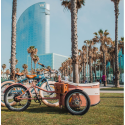Rayvolt Trixie Retro look cargo bike