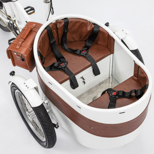 Rayvolt Trixie Lastenfahrrad im Retro-Look