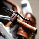 Rayvolt Trixie Retro look cargo bike