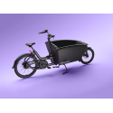Urban Arrow FamilyNext Advanced Performance Plus AutomatiQ