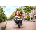 Urban Arrow FamilyNext Advanced Performance Plus