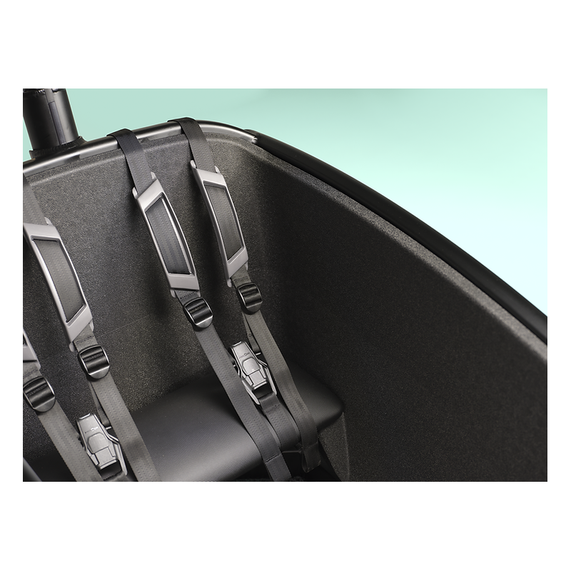 Urban Arrow FamilyNext Advanced Performance Plus
