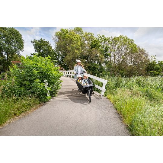 Urban Arrow FamilyNext Advanced Performance Plus