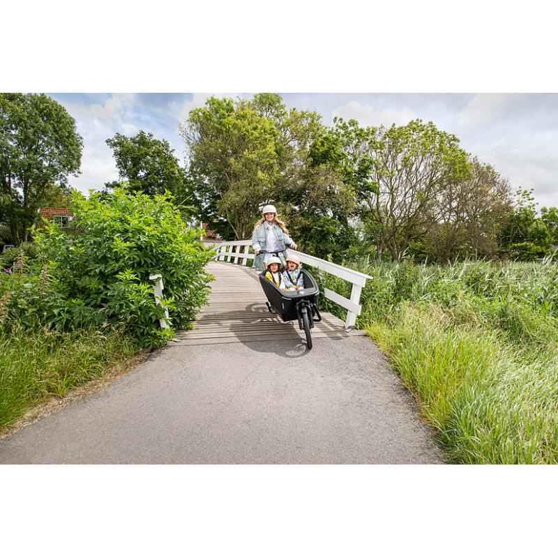 Urban Arrow FamilyNext Advanced Performance Plus