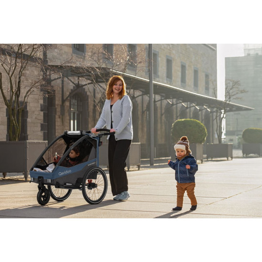 Qeridoo Remorque de vélo pour enfants Sportrex 1 Limited Edition Jeans Blue