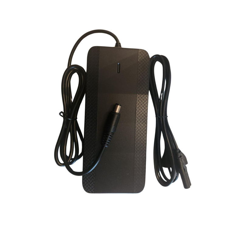 Vogue / Troy battery charger 42v 3A - Ananda