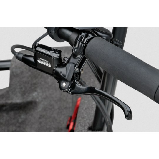 Batavus Fier 3 electric cargo bike  - Nexus