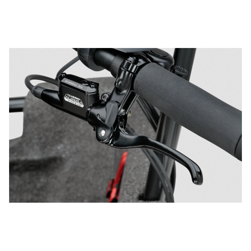 Batavus Fier 3 electric cargo bike  - Nexus