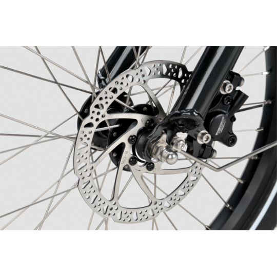 Batavus Fier 3 elektrisches Lastenfahrrad  - Nexus