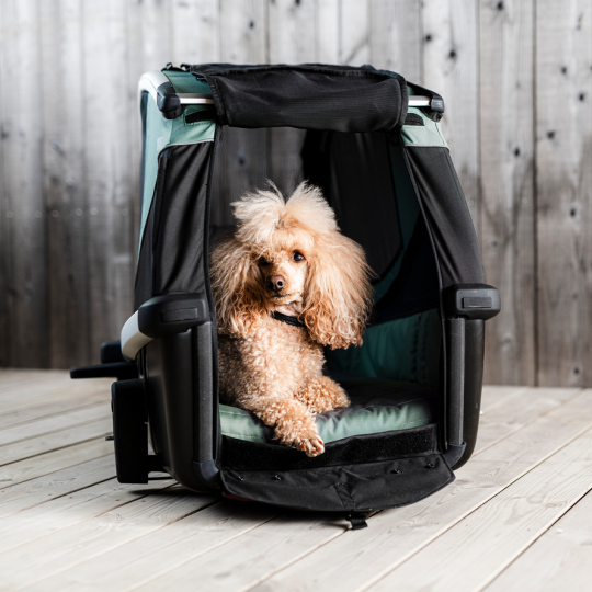 Thule Bexey M  hondenfietskar hazy groen