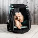 Thule Bexey M  hondenfietskar hazy groen