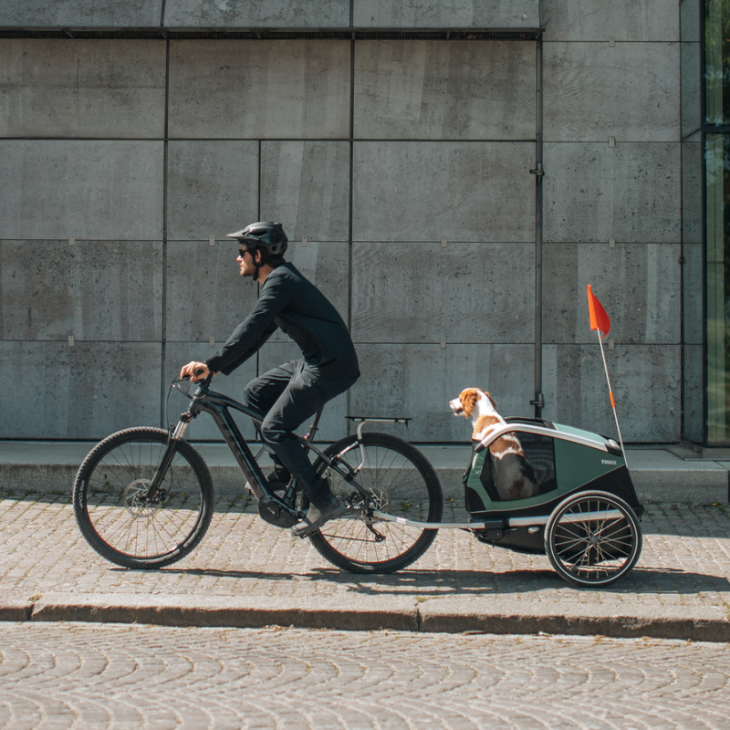 Thule Bexey M  hondenfietskar hazy groen
