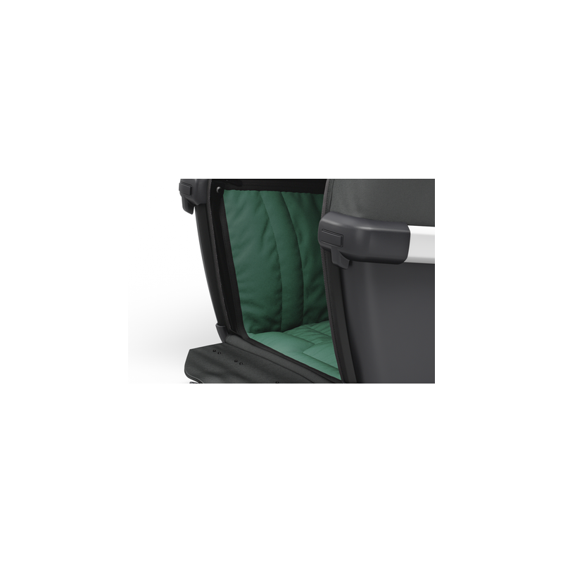 Thule Bexey L hondenfietskar hazy groen