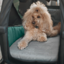 Thule Bexey Hondenbed