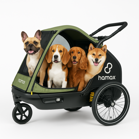 Hamax Pluto M Remorque Vélo pour Chien – Transport sûr et confortable jusqu’à 35 kg
