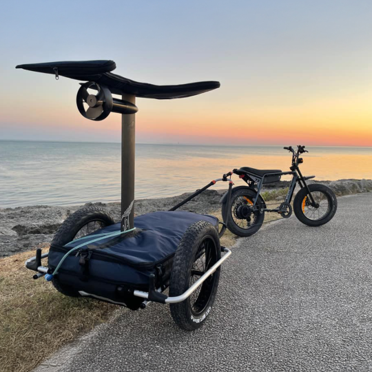 Thule Reacha Sport Beach Fat tire wielen