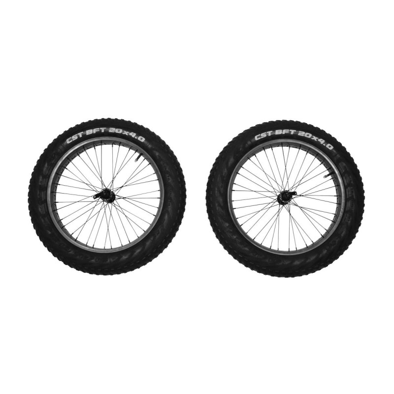 Thule Reacha 20" Fat Tire Radsatz