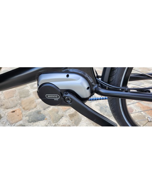 KidsCab Royal 2 Electric Cargo Bike - Nexus 7 chain