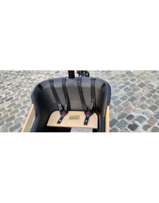 KidsCab Royal 2 Electric Cargo Bike - Nexus 7 chain