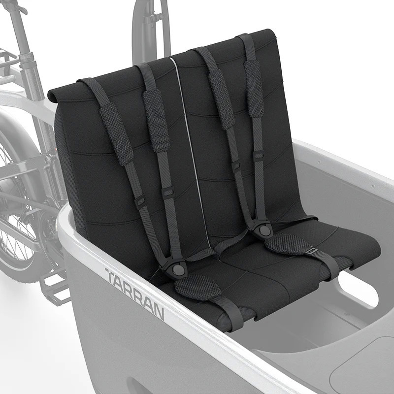 Tarran child seat with 5-point safety harness