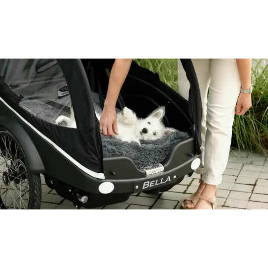 Winther Kangaroo Dog – Vélo cargo électrique pour chien