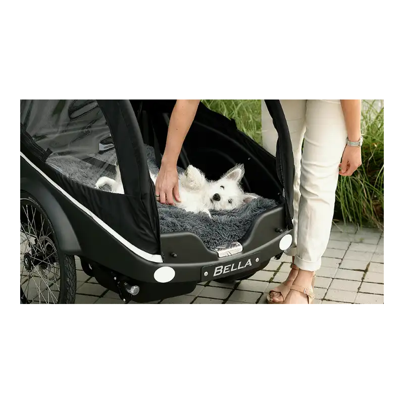 Winther Kangaroo Dog – Elektrische Hondenbakfiets
