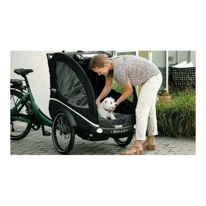 Winther Kangaroo Dog – Vélo cargo électrique pour chien
