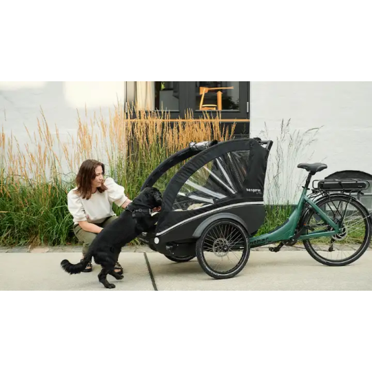 Winther Kangaroo Dog – Vélo cargo électrique pour chien