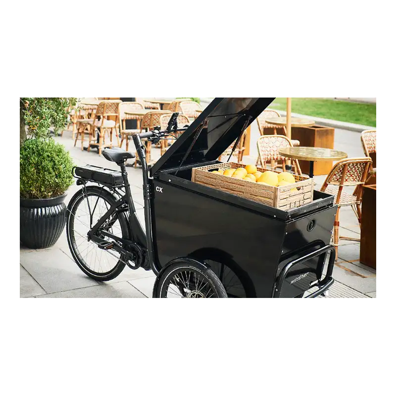 Winther CX – Vélo Cargo Électrique Professionnel avec Grand Bac de Chargement