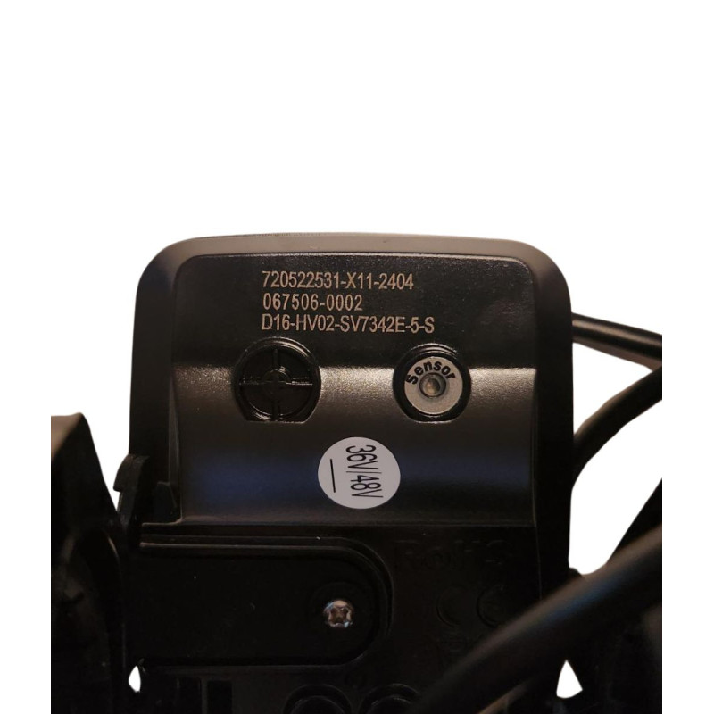 Ananda D16+R01 Display elektrische Lastenräder