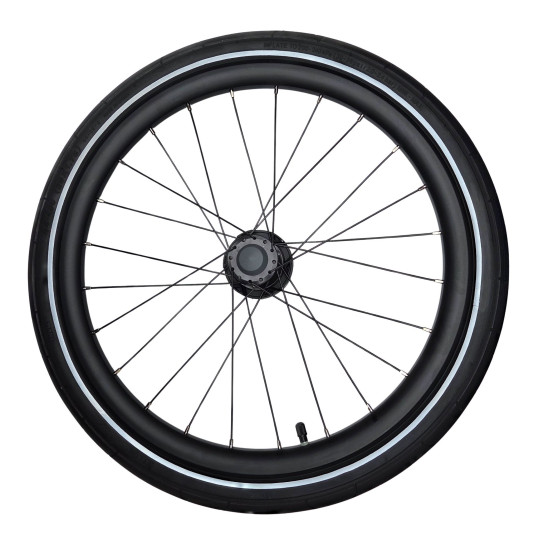 Roue Latérale Thule Sport 20 Pouces – Compatible Version Frein à Disque