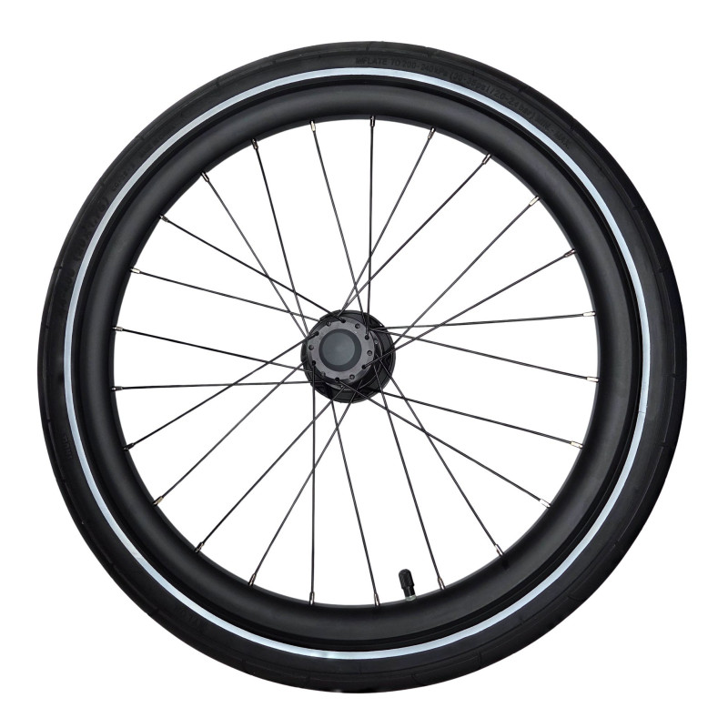 Roue Latérale Thule Sport 20 Pouces – Compatible Version Frein à Disque