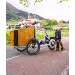 Etnnic Cargo XL Vélo Cargo Électrique pour Chien – 80x60x70 cm – Pour Grands Chiens