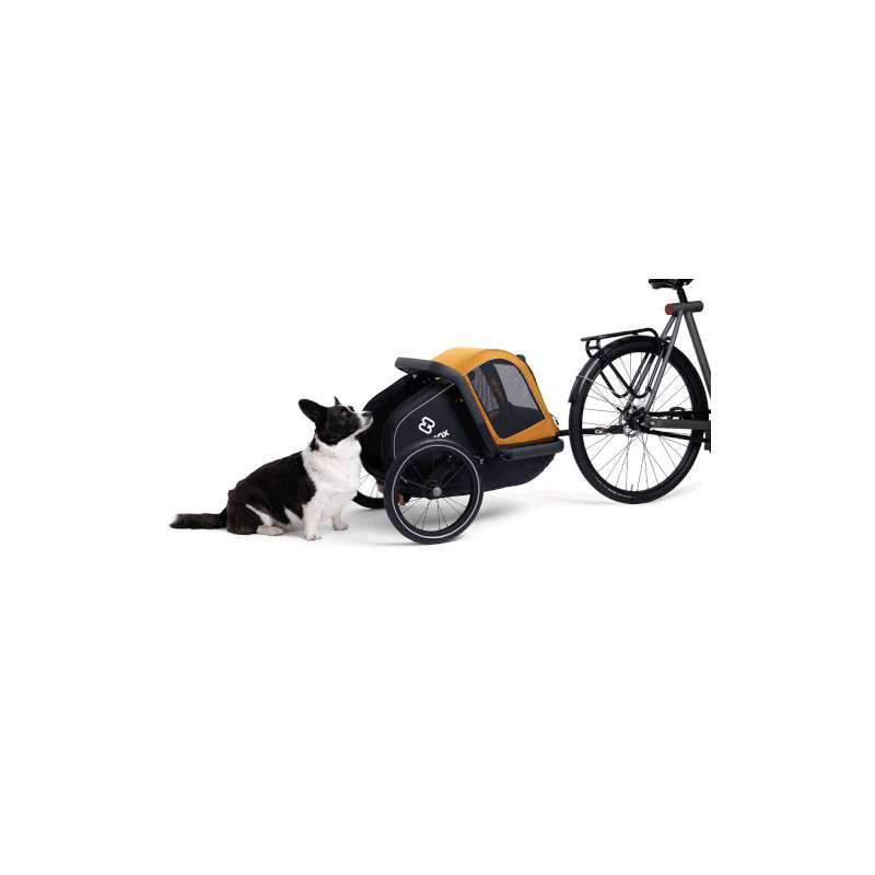 Hamax Milou S Remorque Vélo Chien – Compacte, Sûre & Confortable jusqu’à 20 kg